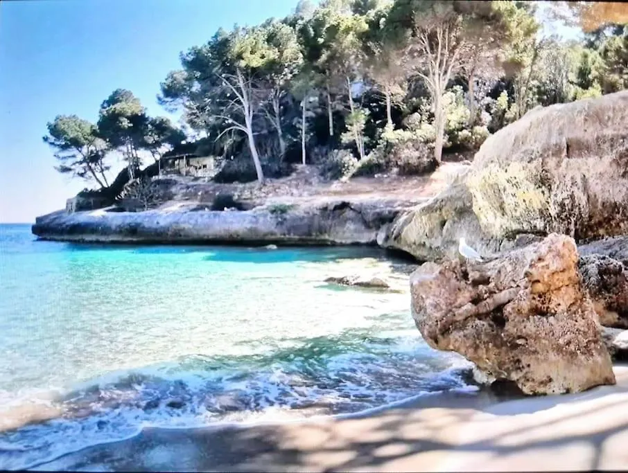Apartament Dimenorca Son Bou 0*,