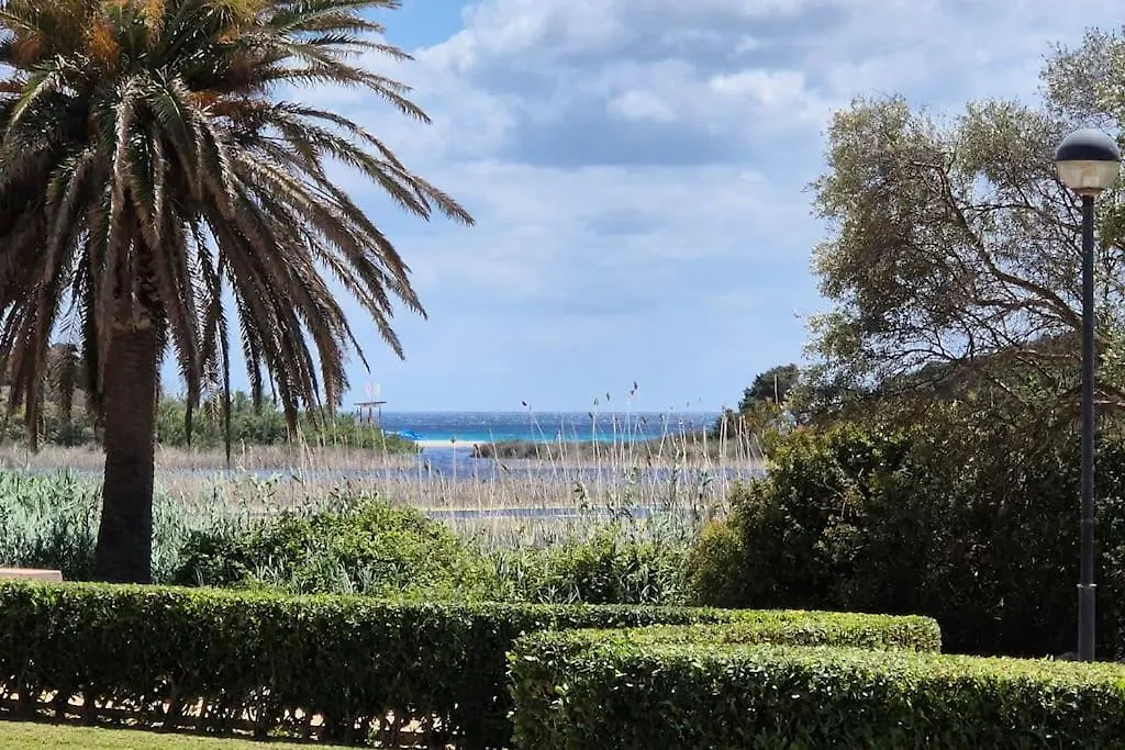 Apartament Dimenorca Son Bou